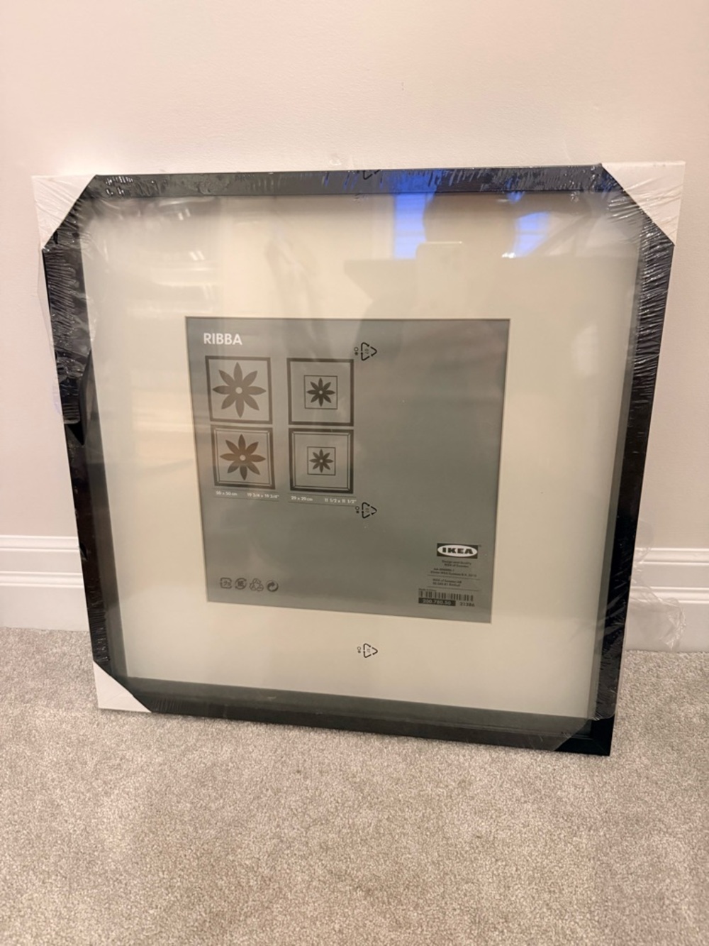 IKEA RIBBA Black Frame with White Mat